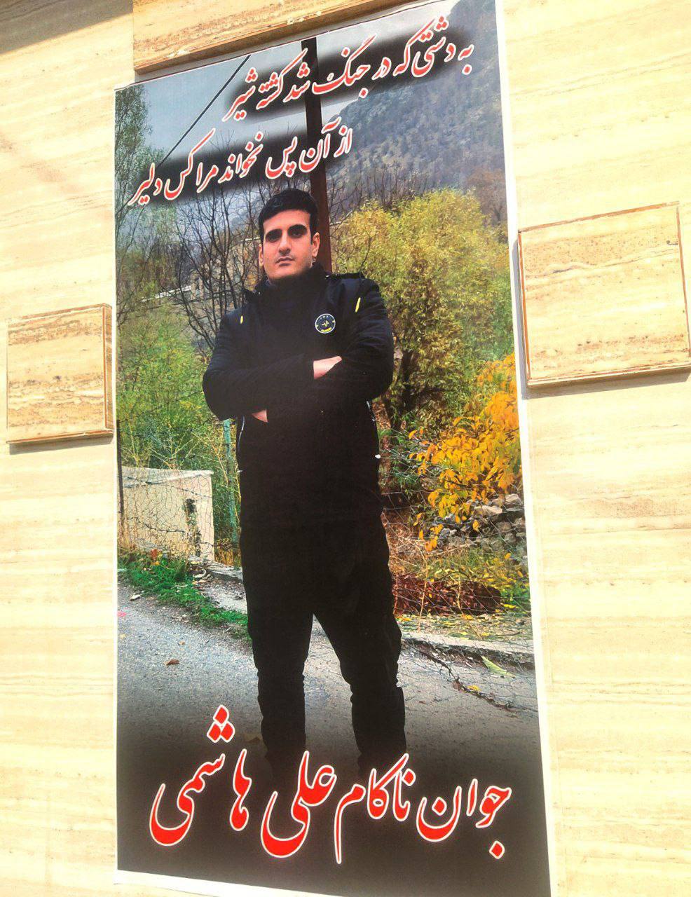 علی هاشمی مطلق