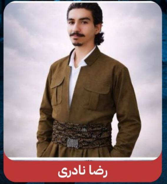 رضا نادری
