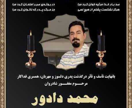 محمد دادور