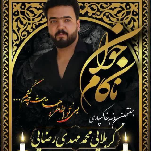 محمدمهدی رضایی آدریانی