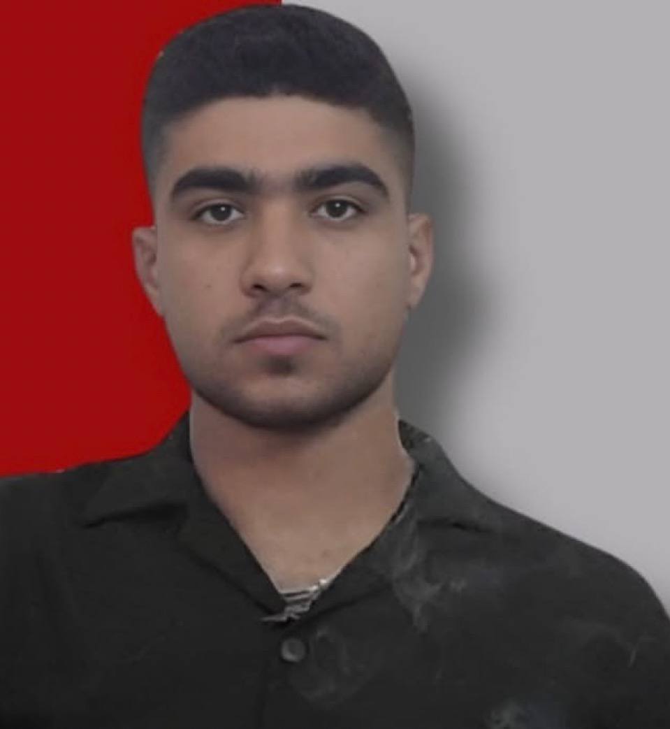 MohammadHossein Roshtehiani